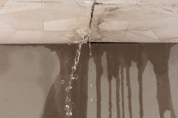 Professional Water Extraction technician working in Monticello, IL